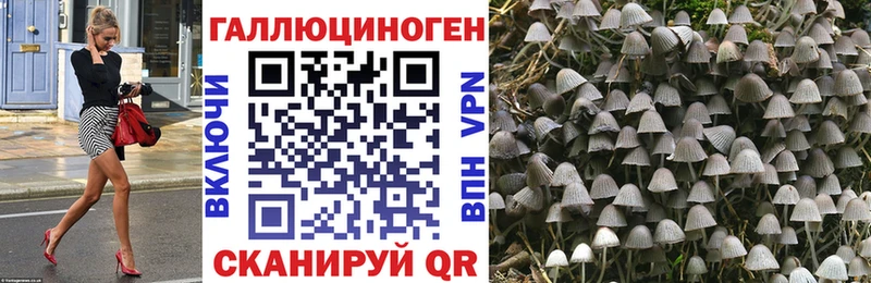 Купить закладки  Троицк  Галлюциногенные грибы GOLDEN TEACHER 